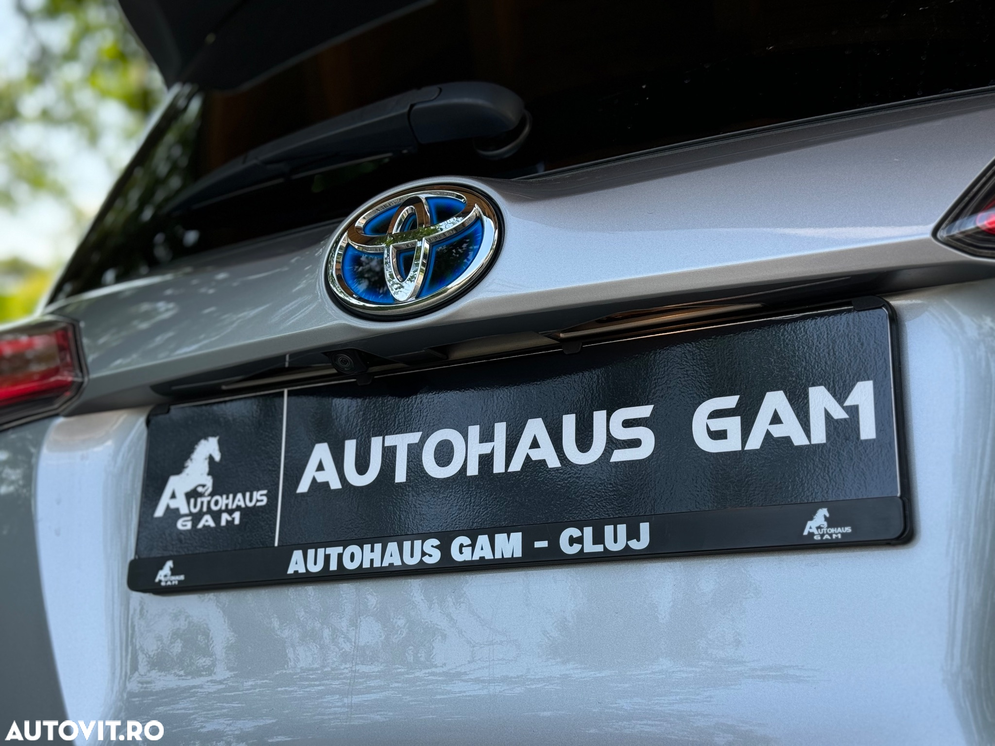 Toyota RAV4 2.5 VVT-i HSD 4x4 Luxury - 31