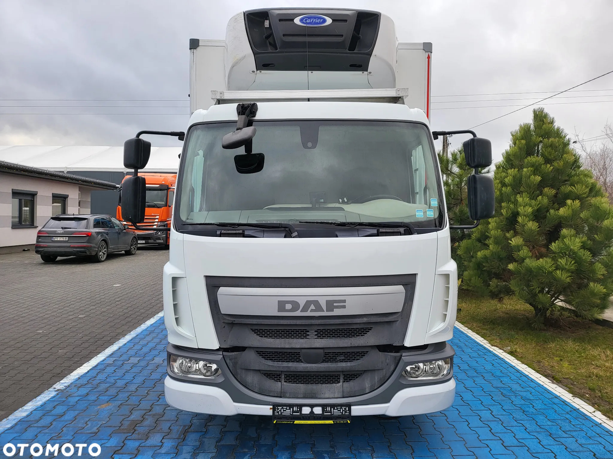 DAF FL 250 - 9