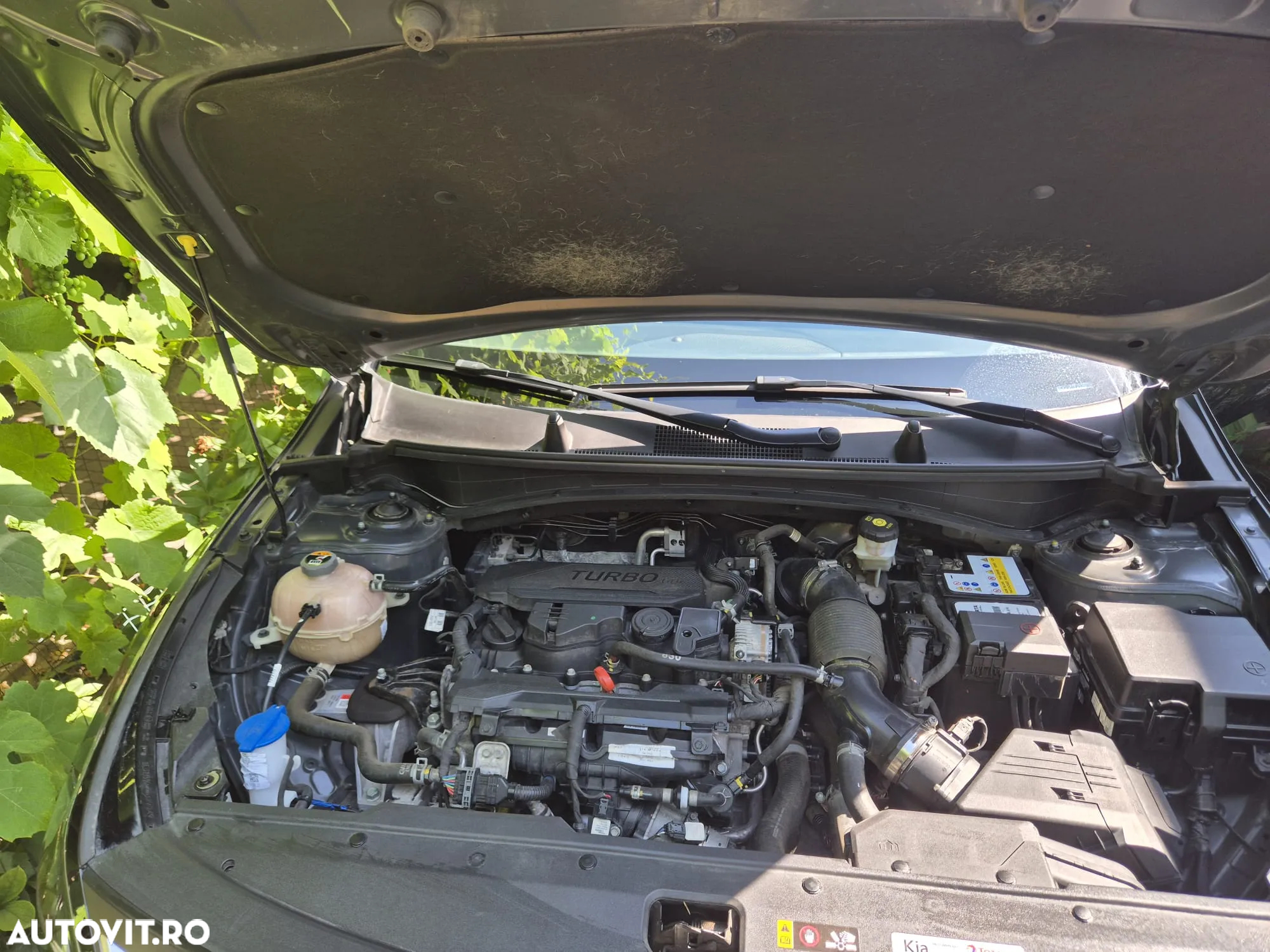 Kia Sportage 1.6 T-GDI 6MT 4x2 Style - 13
