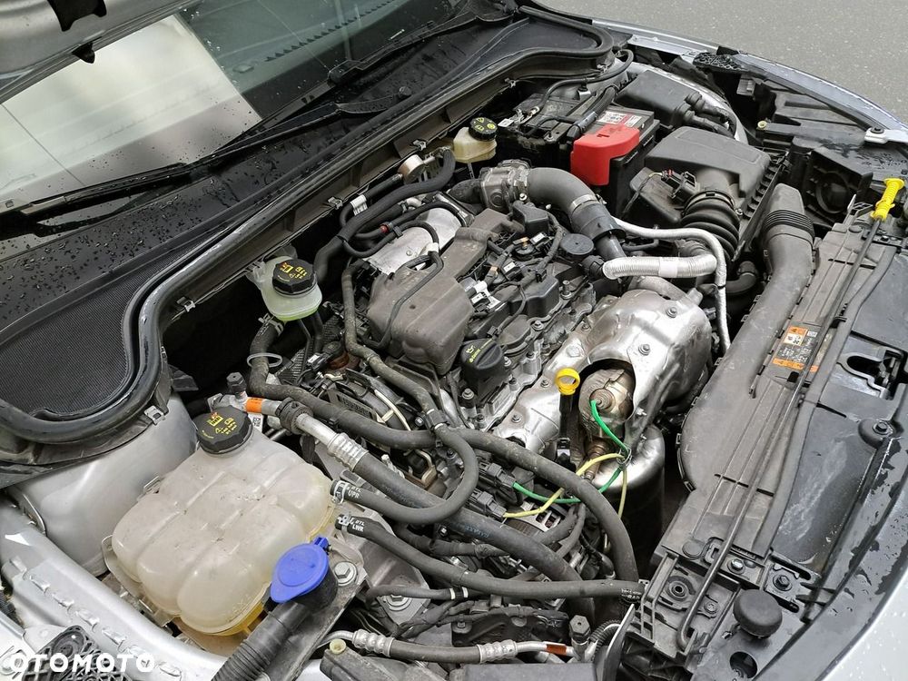 Ford Focus - 14