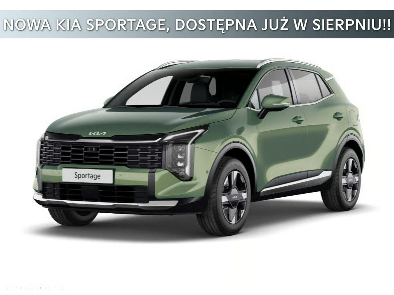 Kia Sportage - 1