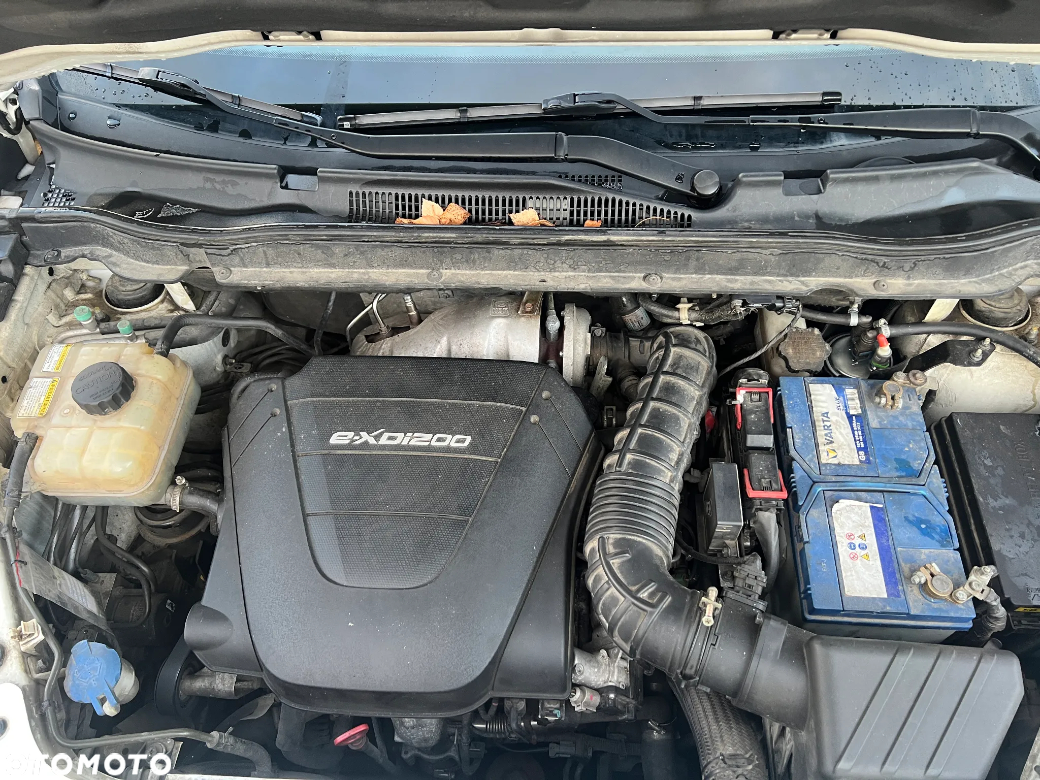 SsangYong/KGM Korando 2.0 e-XDi Sapphire - 29