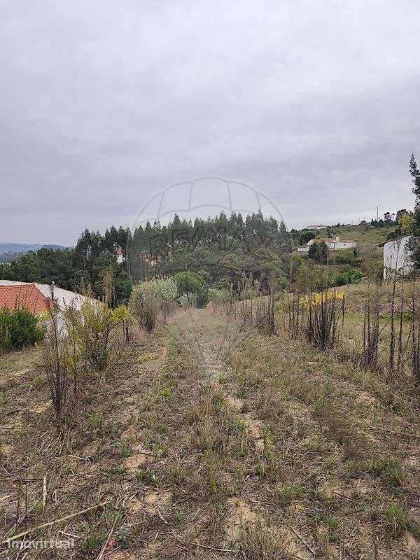 Terreno  para venda - Grande imagem: 2/21