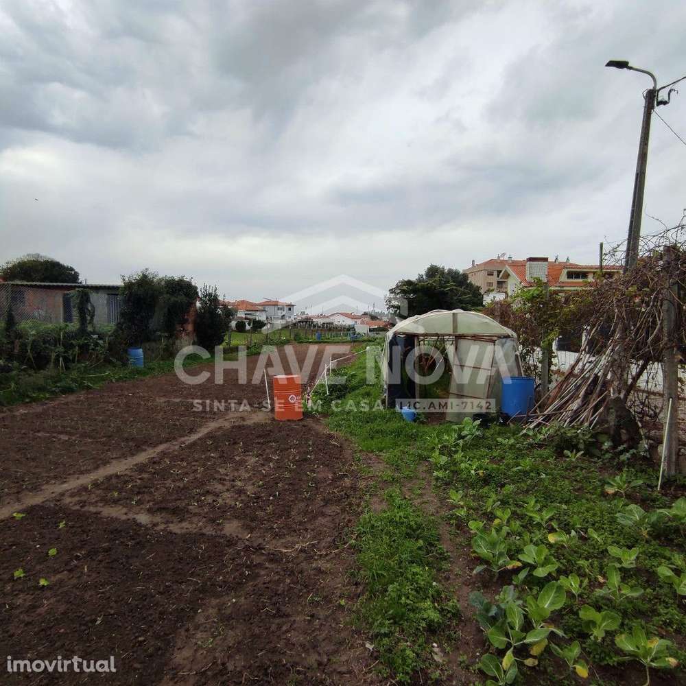 Lote c/Projeto Aprovado p/ 5 Moradias em Canelas - Grande imagem: 2/7