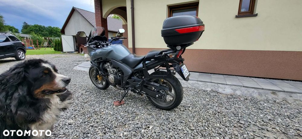 Honda CBF - 7