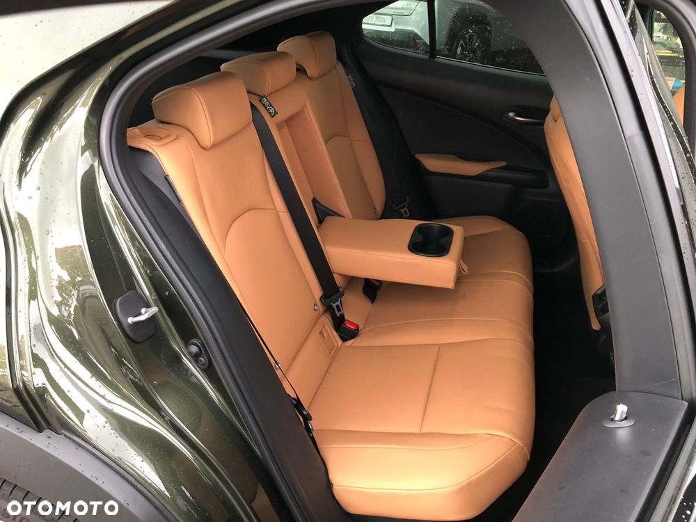 Lexus UX 300h F Sport Design - 29