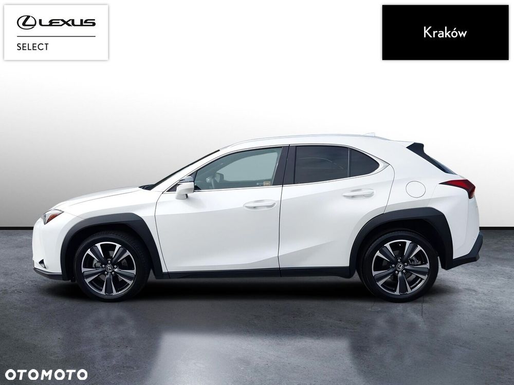 Lexus UX 300h Business - 2