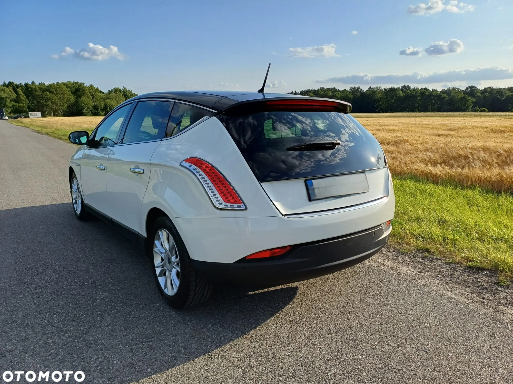 Lancia Delta 1.4 MultiAir Silver S&S - 4