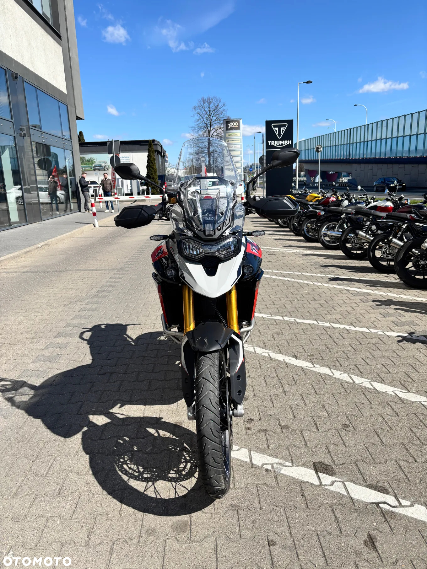 Triumph Tiger