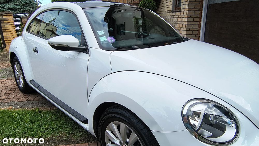 Volkswagen Beetle - 5