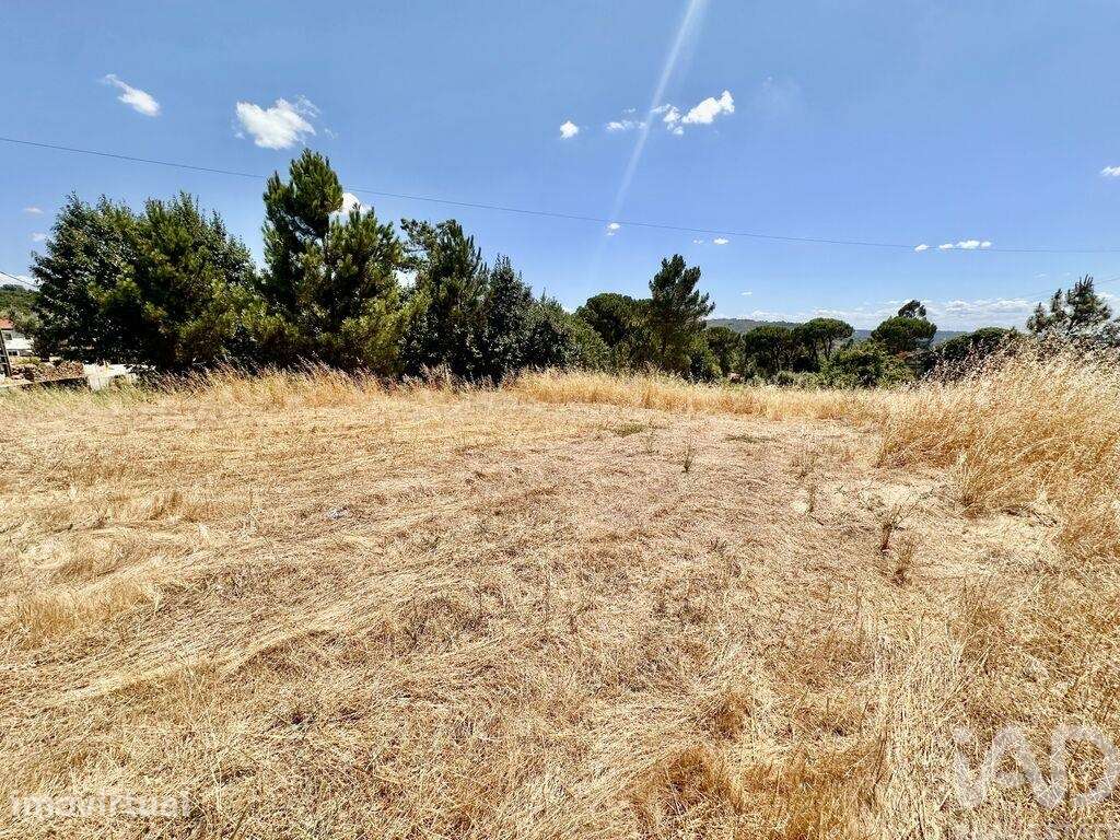 Terreno em Povolide - Grande imagem: 4/4