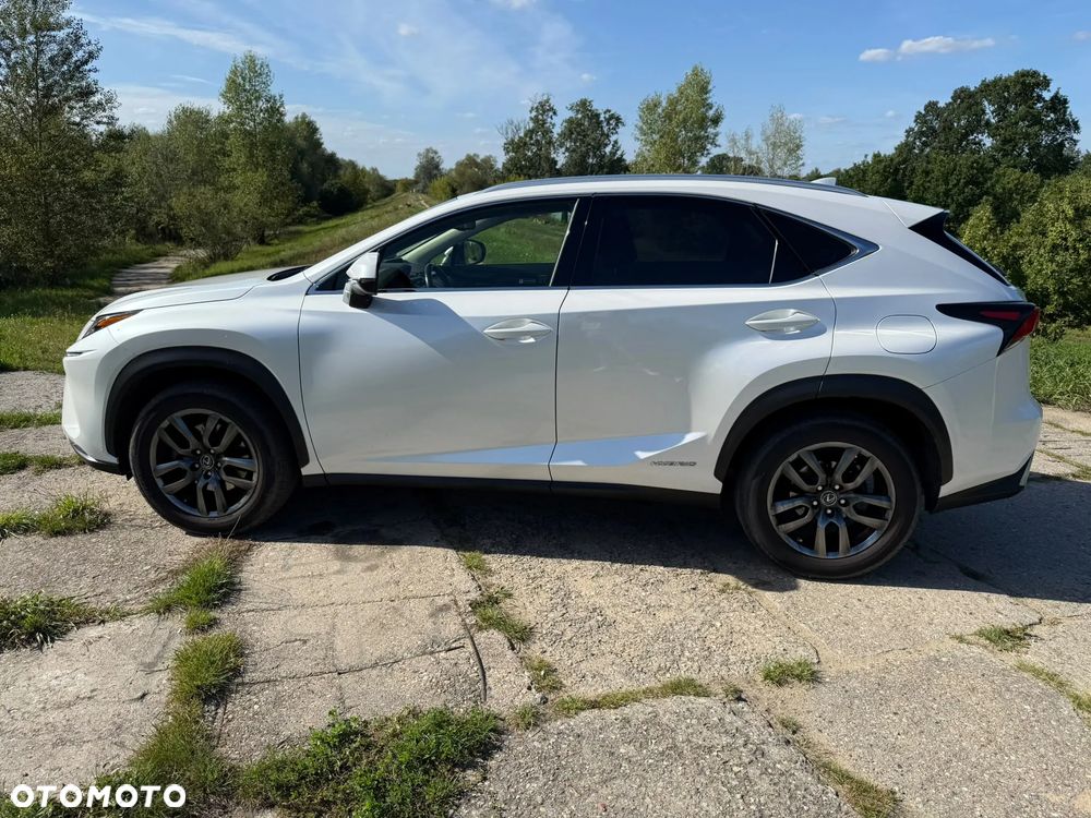 Lexus NX 300h Business Edition AWD - 6