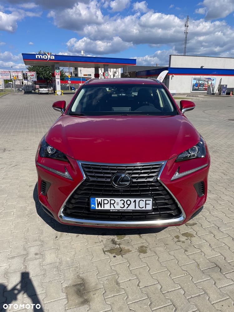 Lexus NX 300 Business Edition AWD - 4