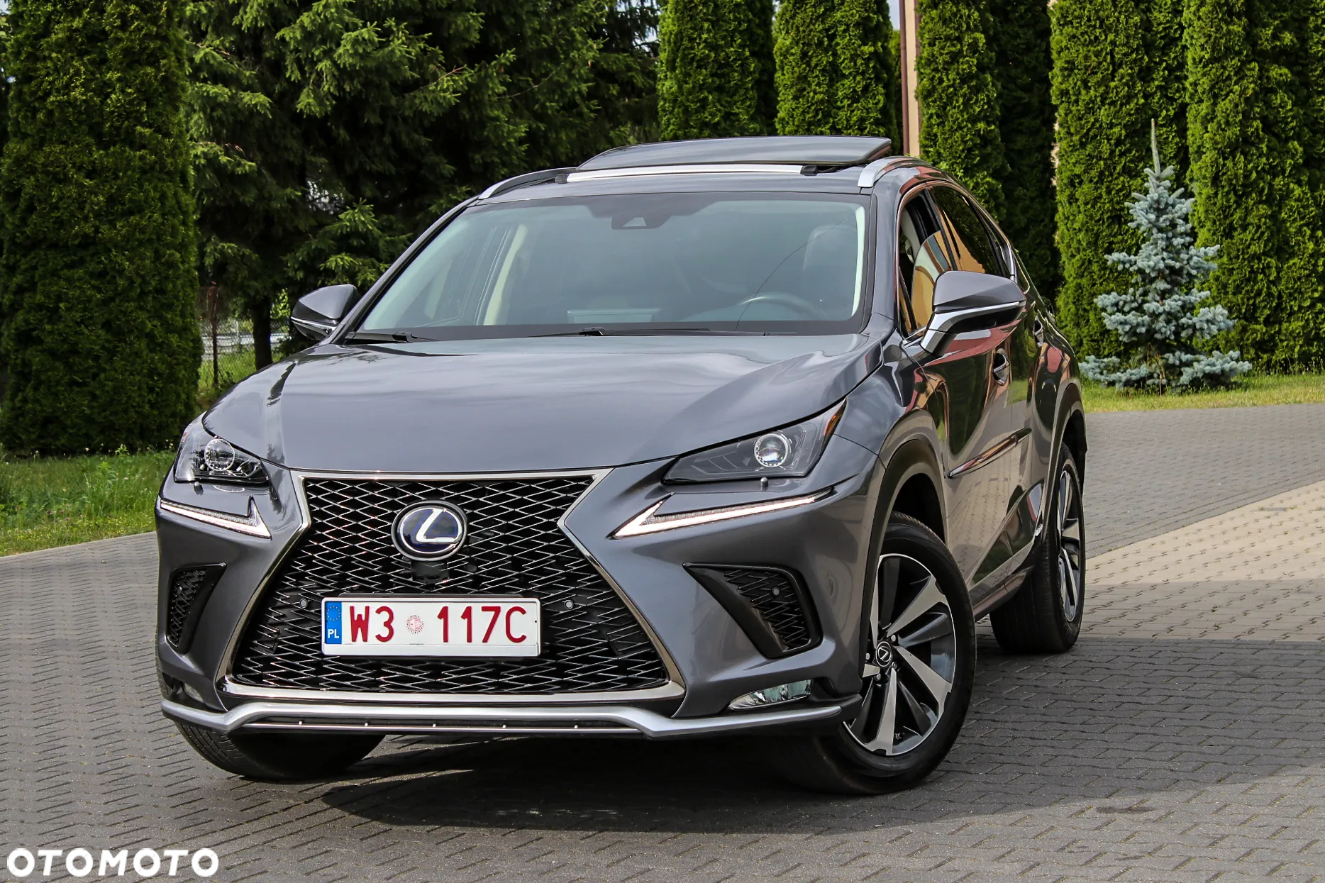 Lexus NX 350h Prestige AWD - 2