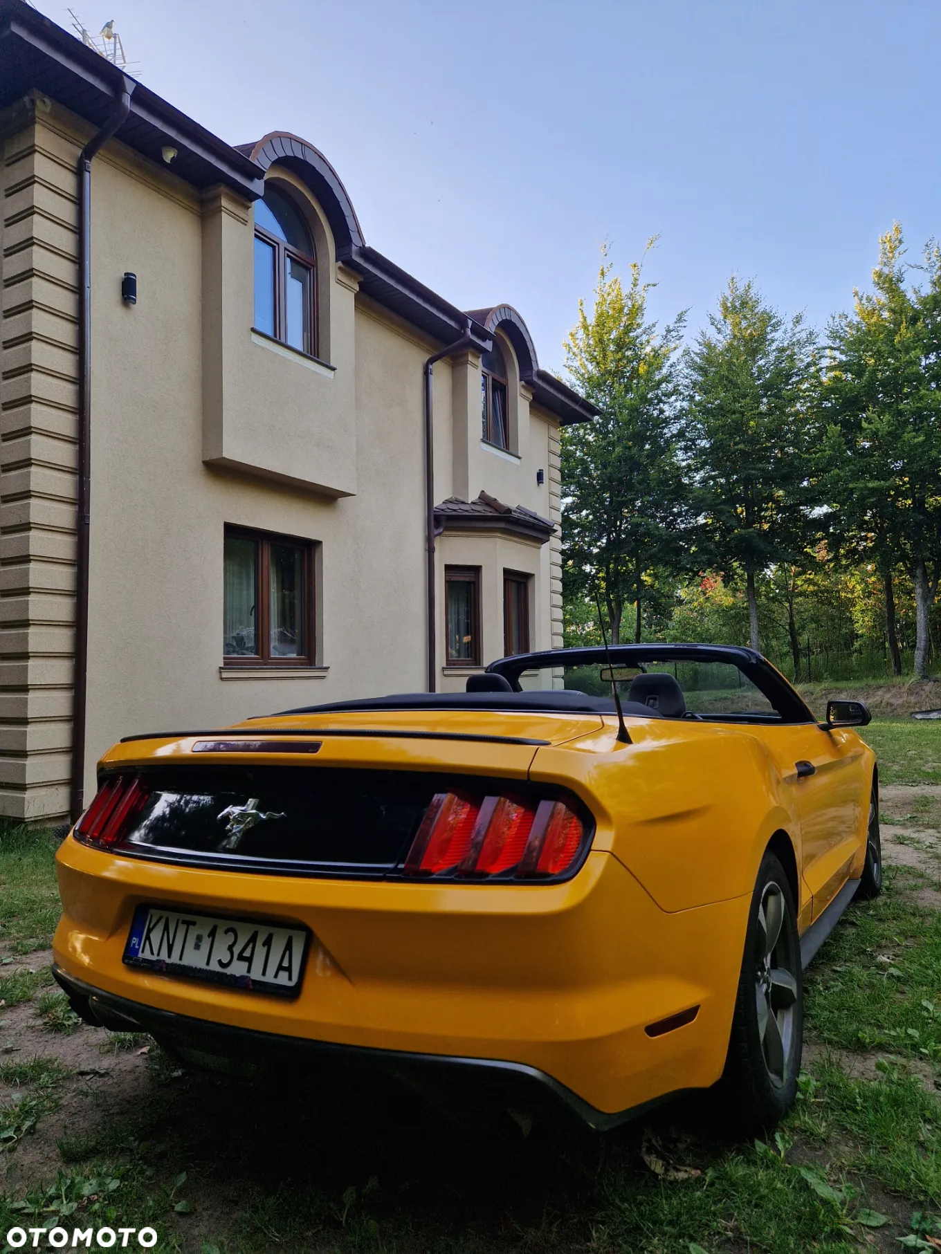 Ford Mustang 3.7 V6 - 11