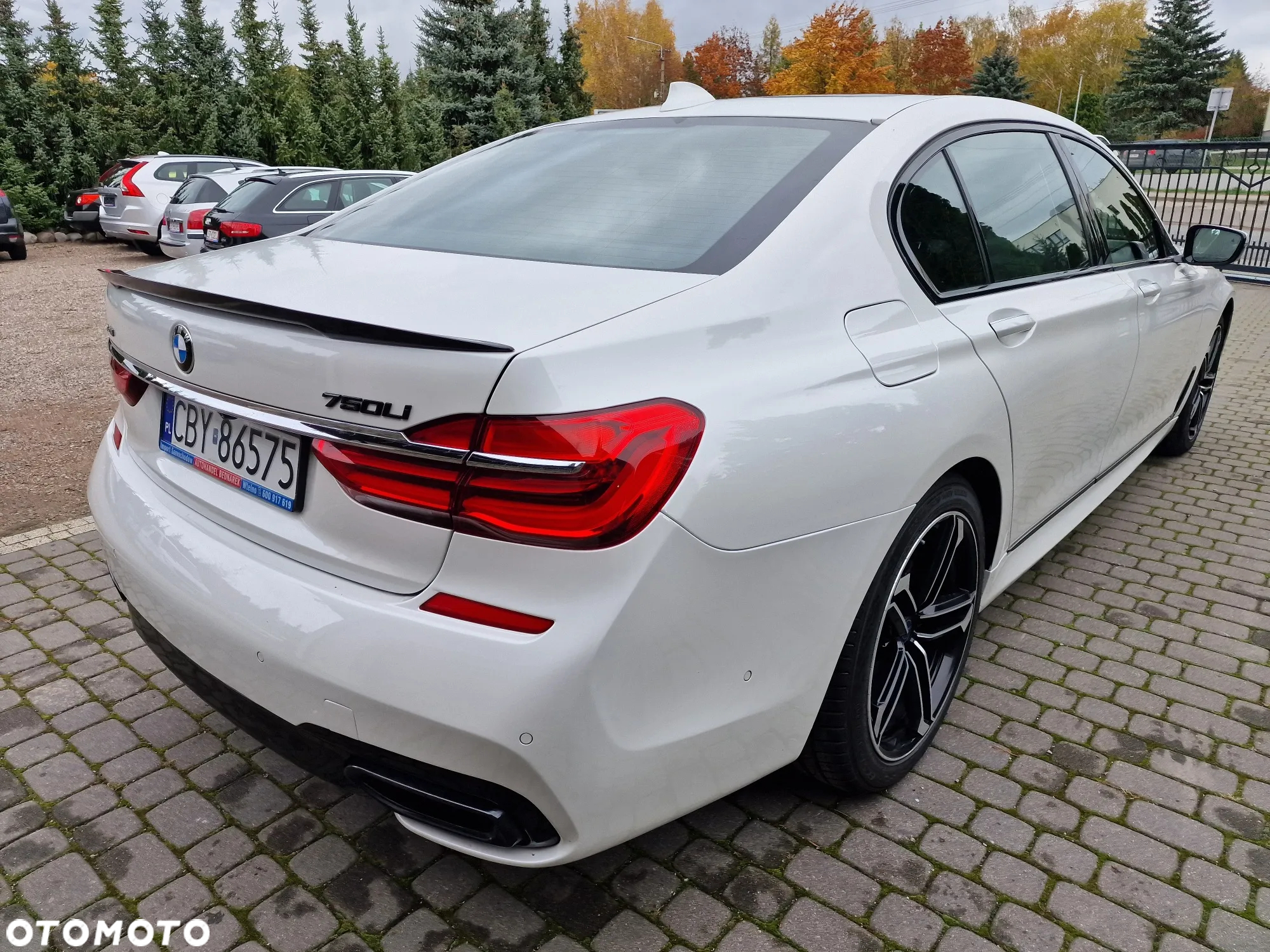 BMW Seria 7 750Li xDrive - 8