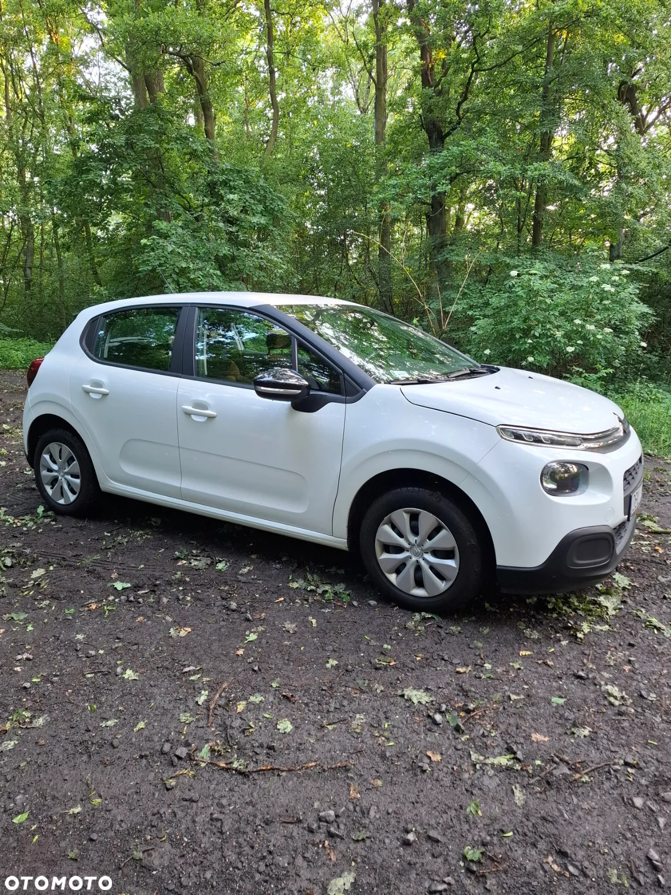Citroën C3 1.2 PureTech Shine - 7