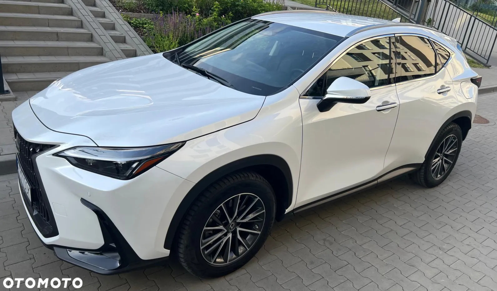 Lexus NX - 6