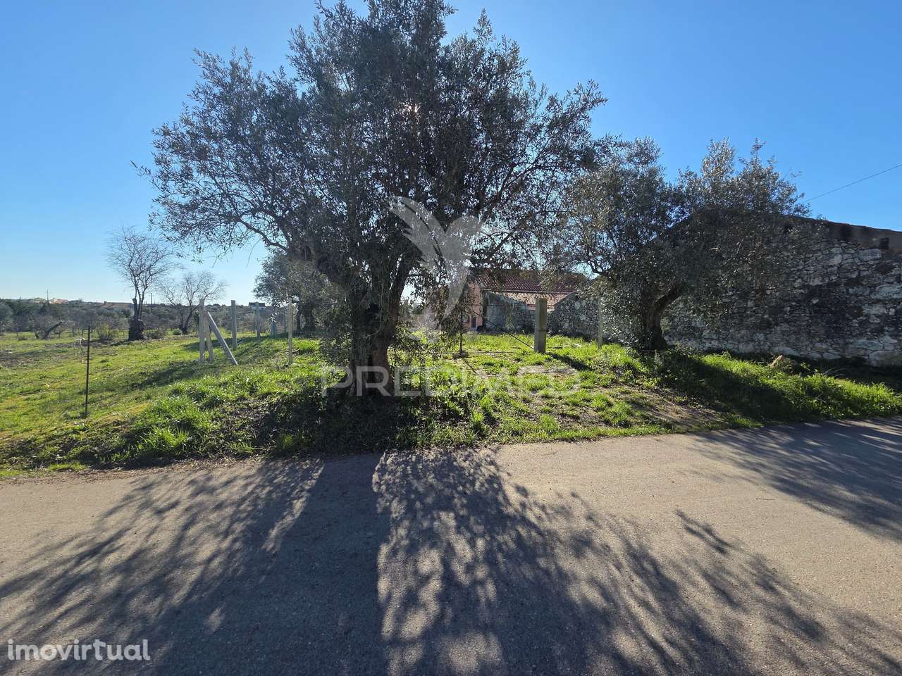 Quintinha com Ruina - Grande imagem: 4/40