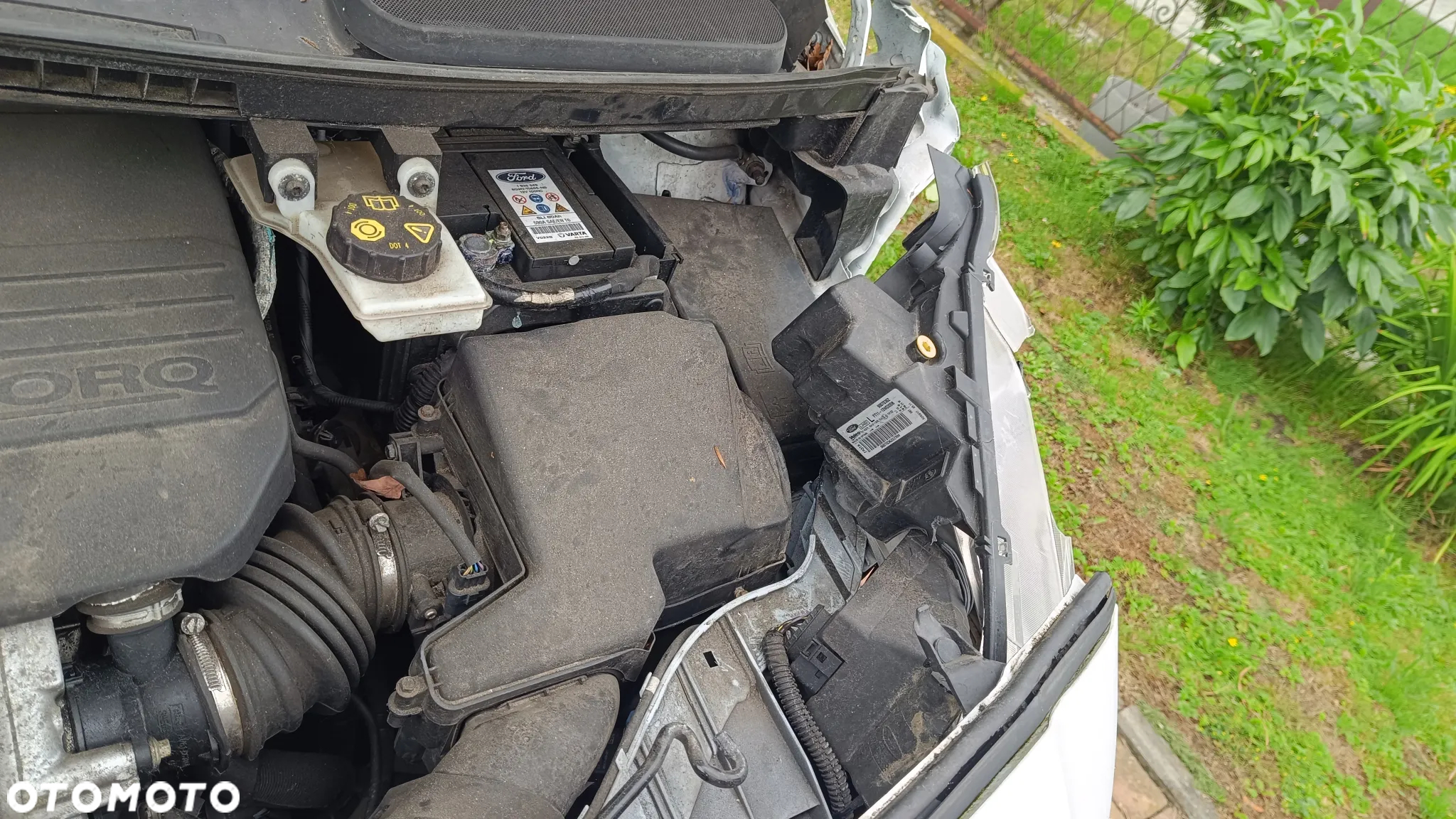 Ford Transit Connect - 3