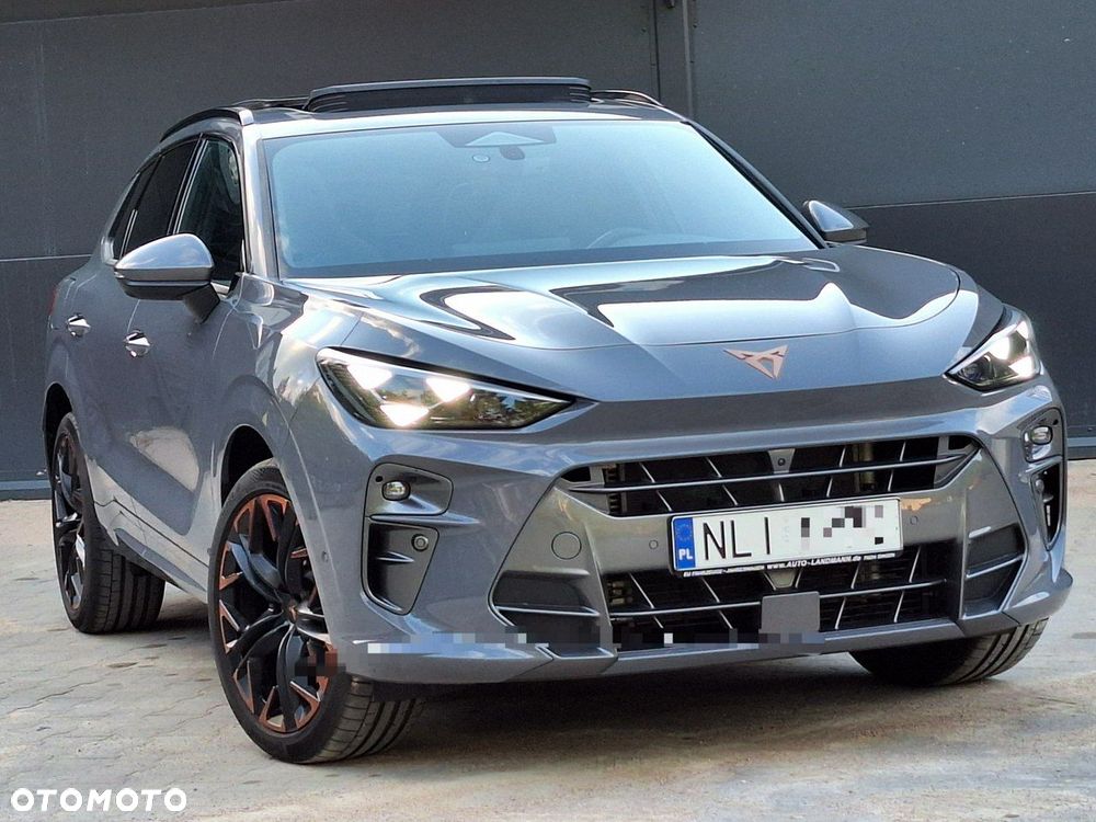 Cupra Terramar - 1