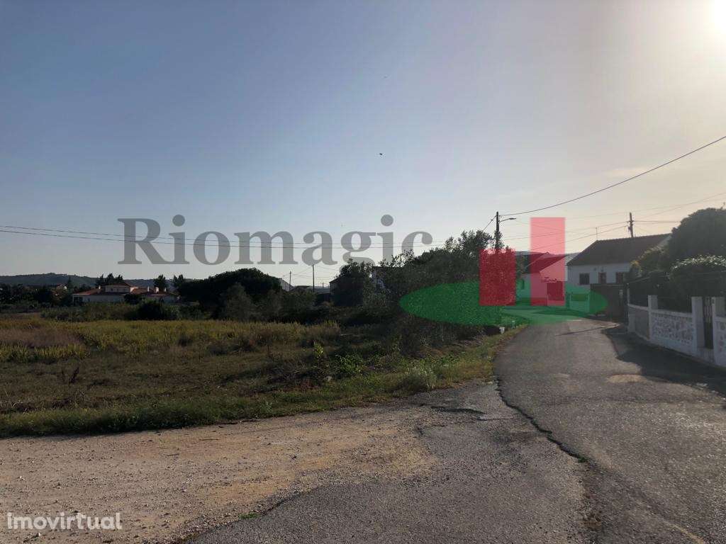 Terreno com Viabilidade de Construção Tagarro-Alcoentre***RIOMAGIC*** - Grande imagem: 5/13