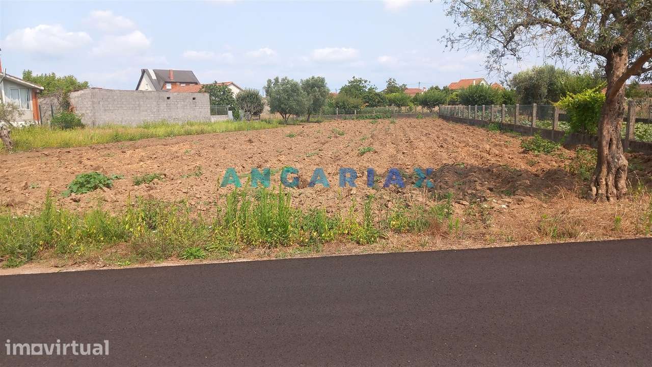 ANG1601 - Terreno para Venda em Vermoil, Pombal - Grande imagem: 4/6