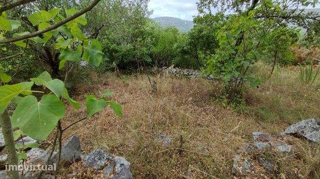 Terreno Urbano - Grande imagem: 2/5