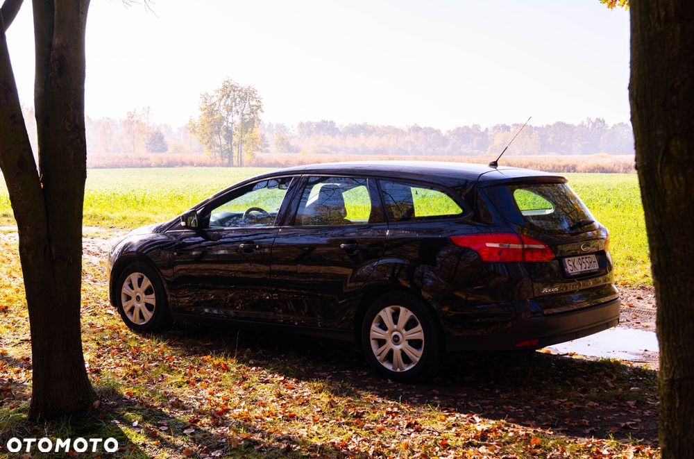 Ford Focus - 6