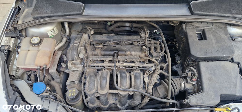 Ford Focus 1.6 Trend Sport - 13