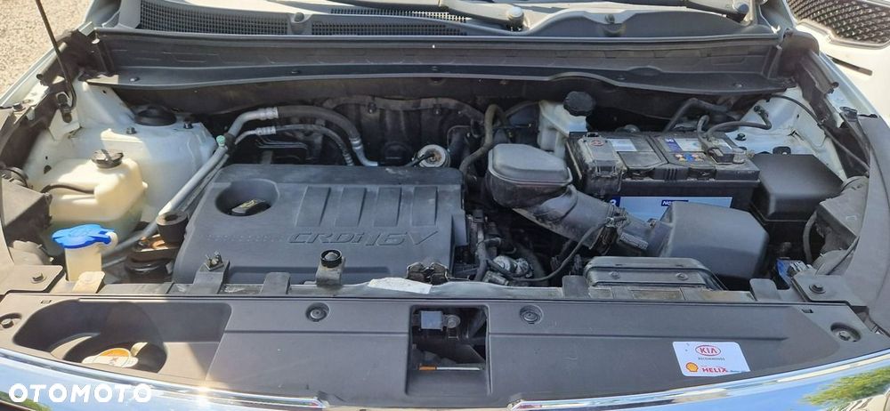 Kia Sportage - 40