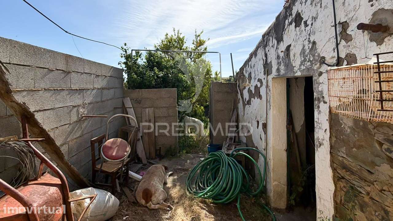 Casa térrea para recuperação total. Com quintal - Grande imagem: 4/21