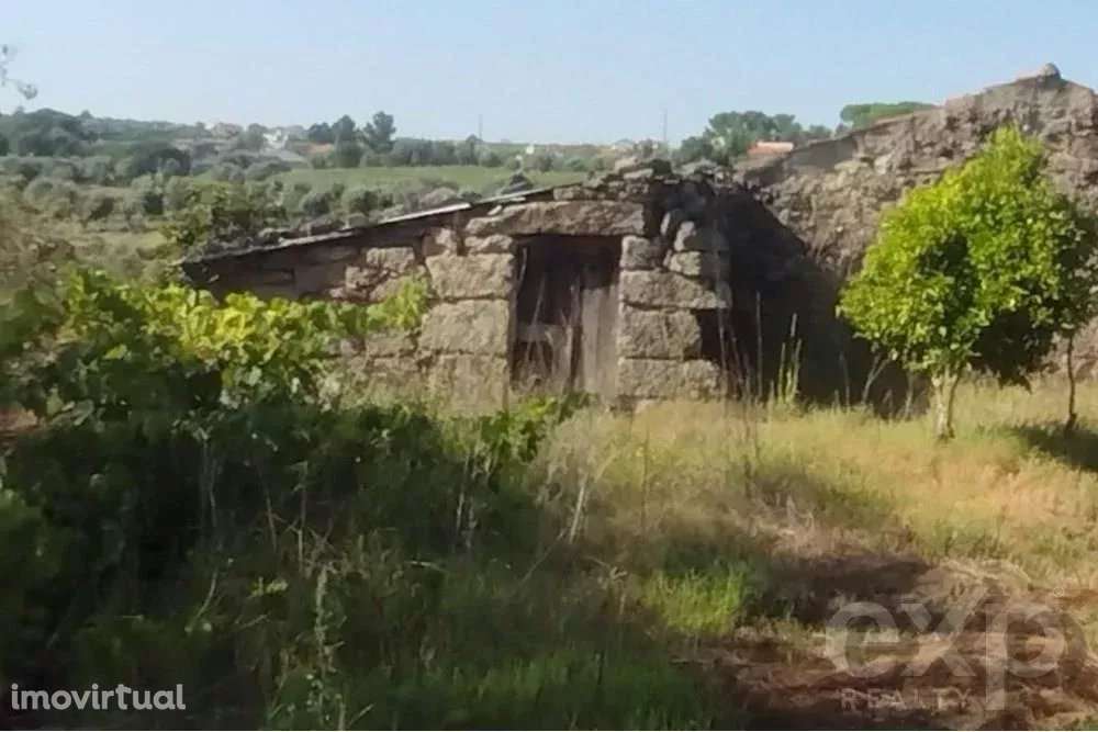 Quintinha com Terreno Urbano em Nelas - Grande imagem: 3/9