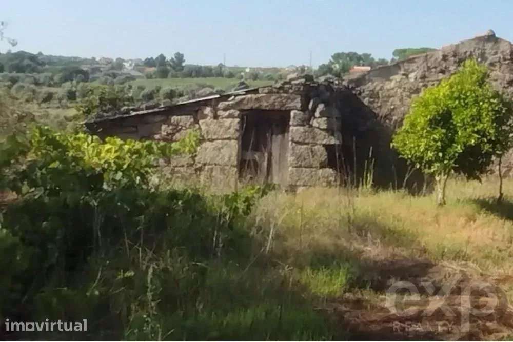 Quintinha com Terreno Urbano em Nelas - Grande imagem: 3/9