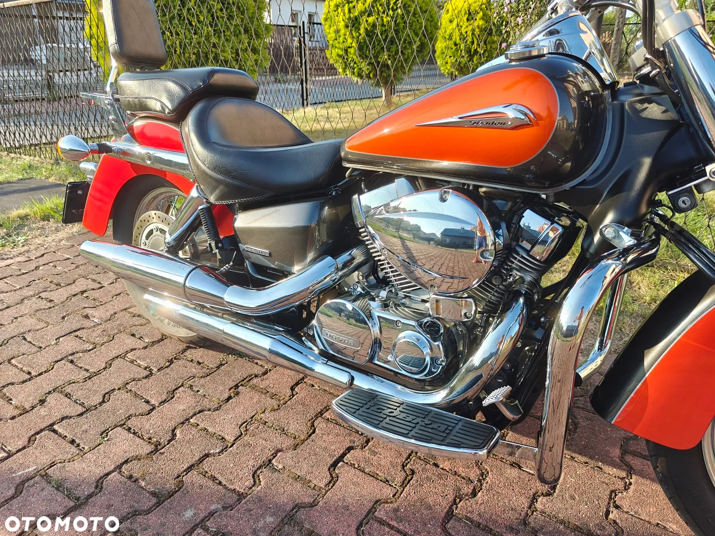 Honda Shadow - 3