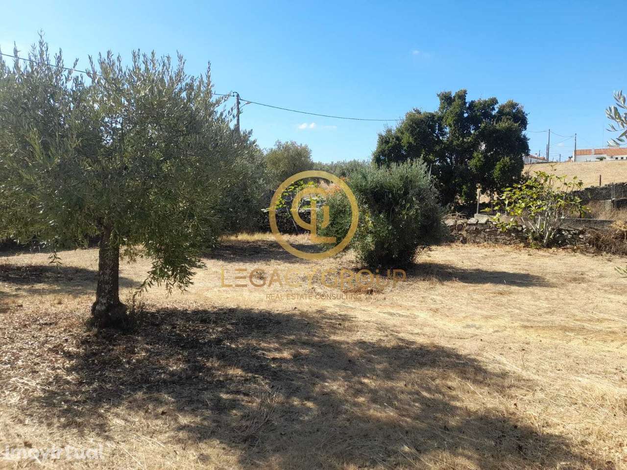 Terreno com árvores de fruto e dois poços em São Pedro de Solis – M... - Grande imagem: 2/39