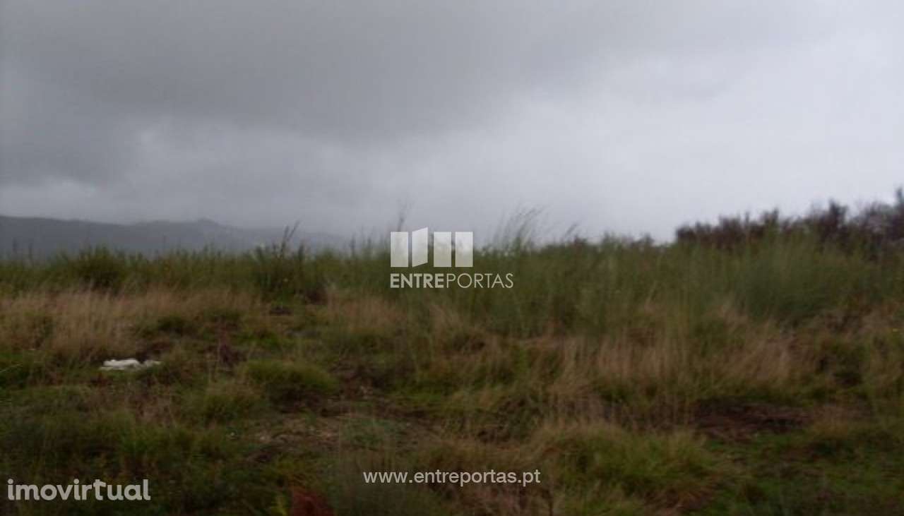 Venda Lote, Grilo, Baião - Grande imagem: 2/29