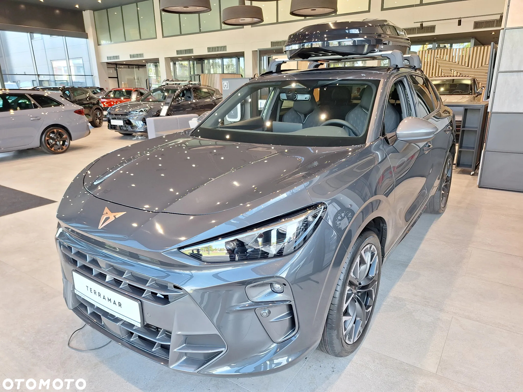Cupra Terramar - 2