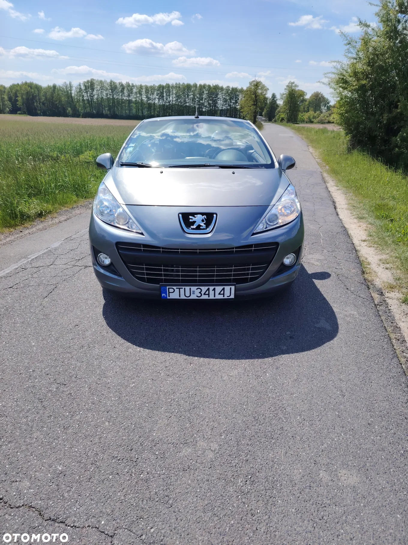Peugeot 207 CC FAP 110 (Blue Lion) Platinum - 2