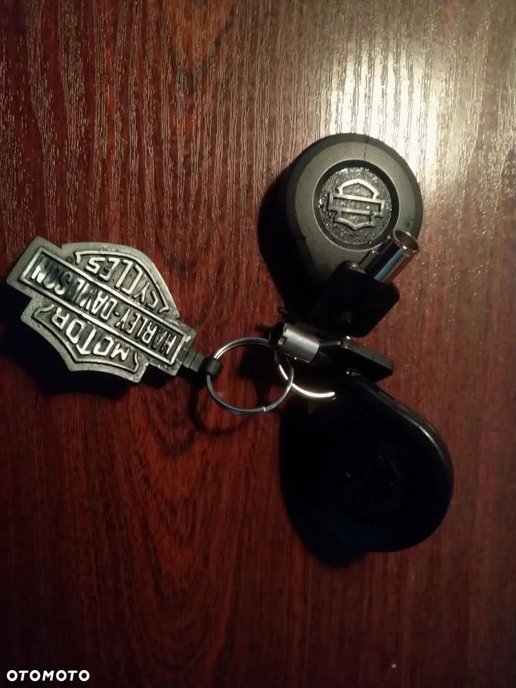 Harley-Davidson Softail V-Rod - 17