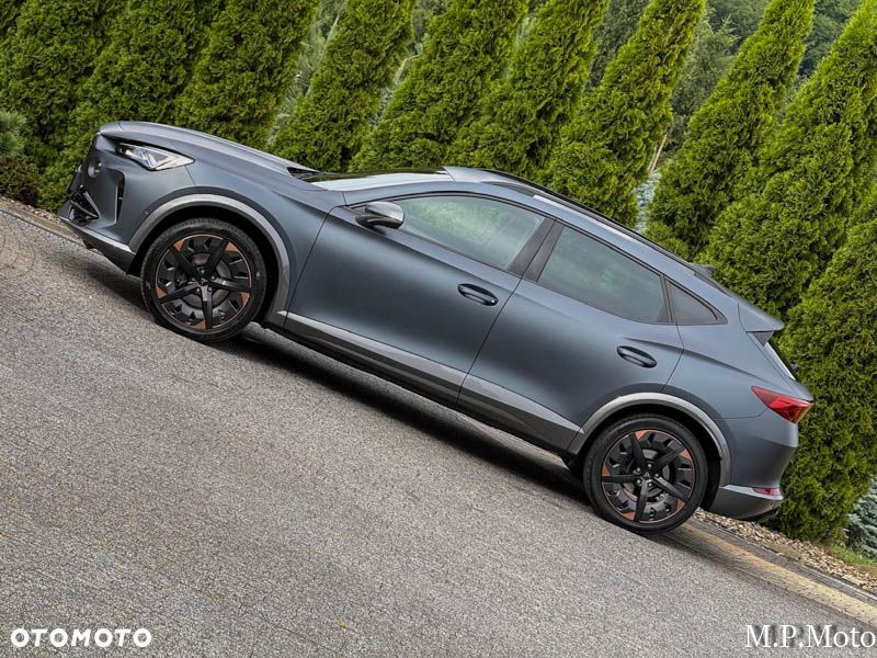Cupra Formentor 2.0 TDI DSG Tribe Edition - 14