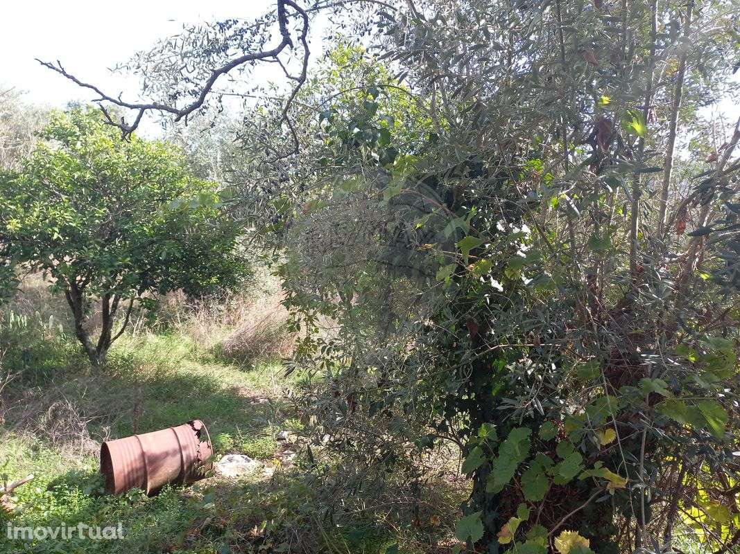 Moradia T1 para venda - Grande imagem: 5/5