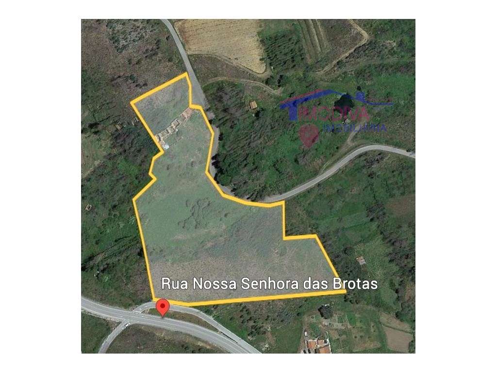 Propriedade com 17191m2 de terreno e ruina - Grande imagem: 3/26