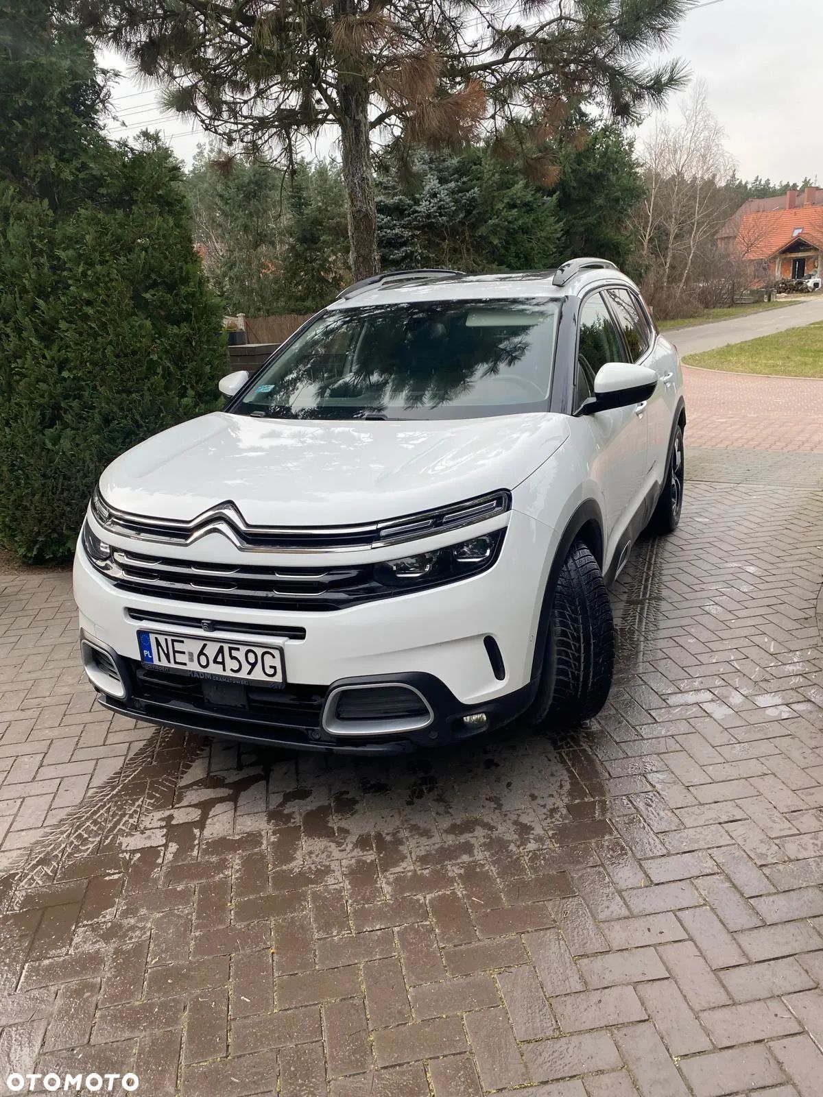 Citroën C5 Aircross 2.0 BlueHDi Shine EAT8 - 1