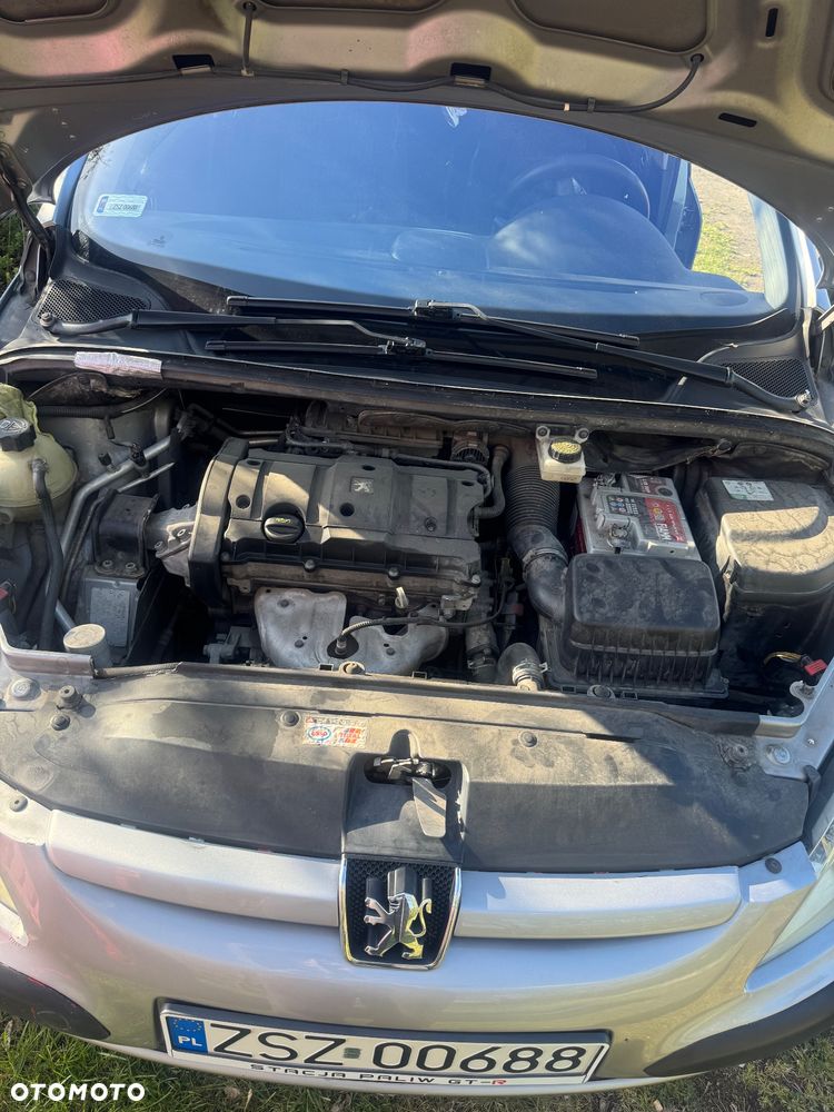 Peugeot 307 - 14