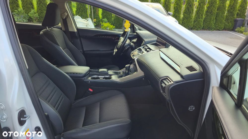 Lexus NX 300 Business Edition AWD - 24