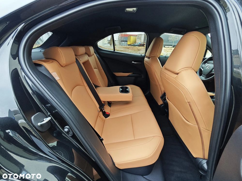 Lexus UX 250h GPF F Sport Design+ 2WD - 15