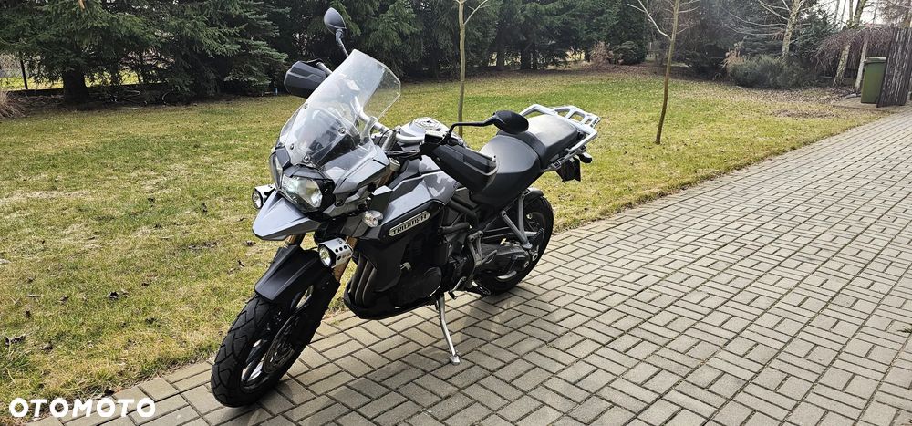 Triumph Tiger - 7