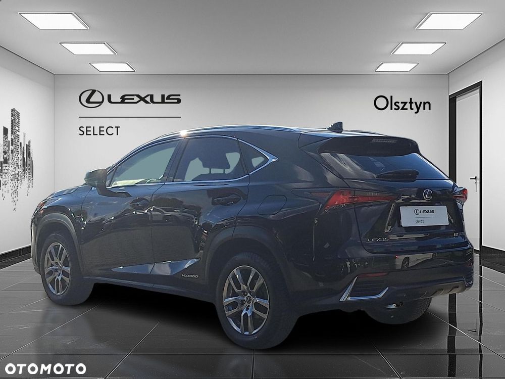 Lexus NX 300h Business Edition AWD - 7