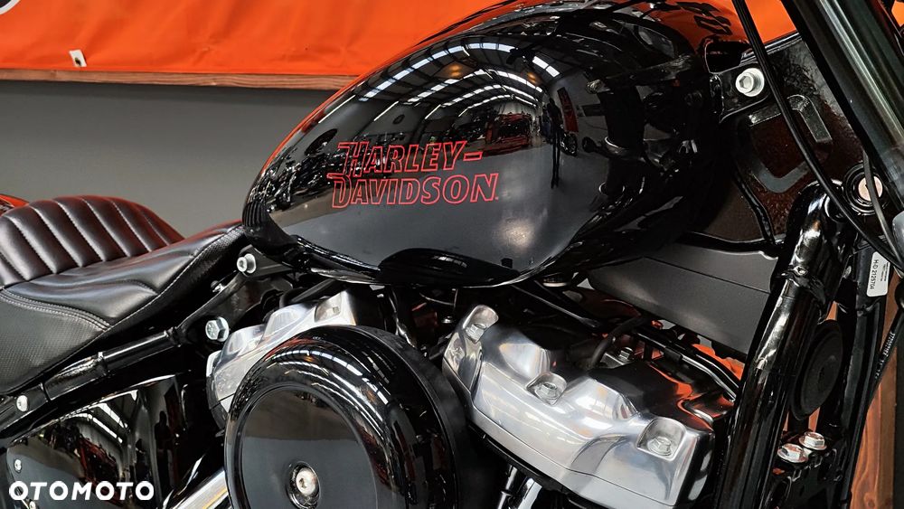 Harley-Davidson Softail Standard - 13